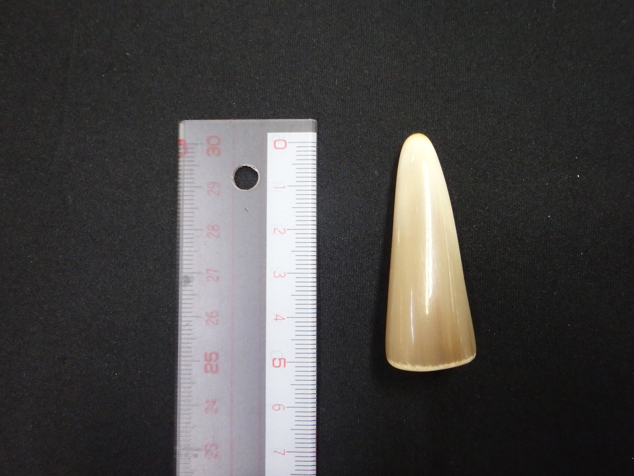 �I�����_����No.01