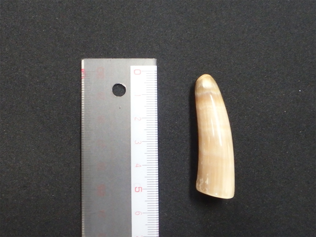 �I�����_����No.02