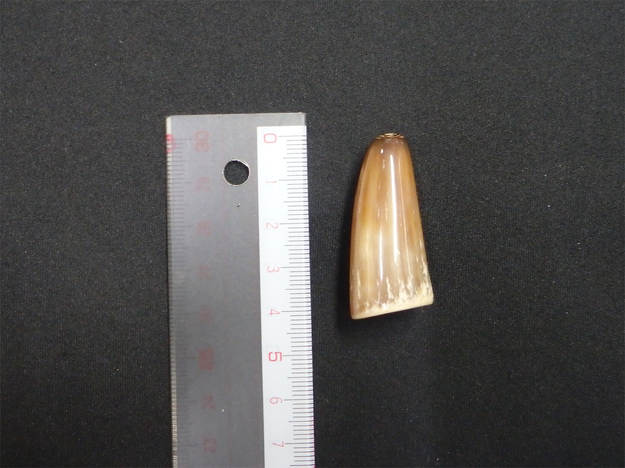 �I�����_����No.05