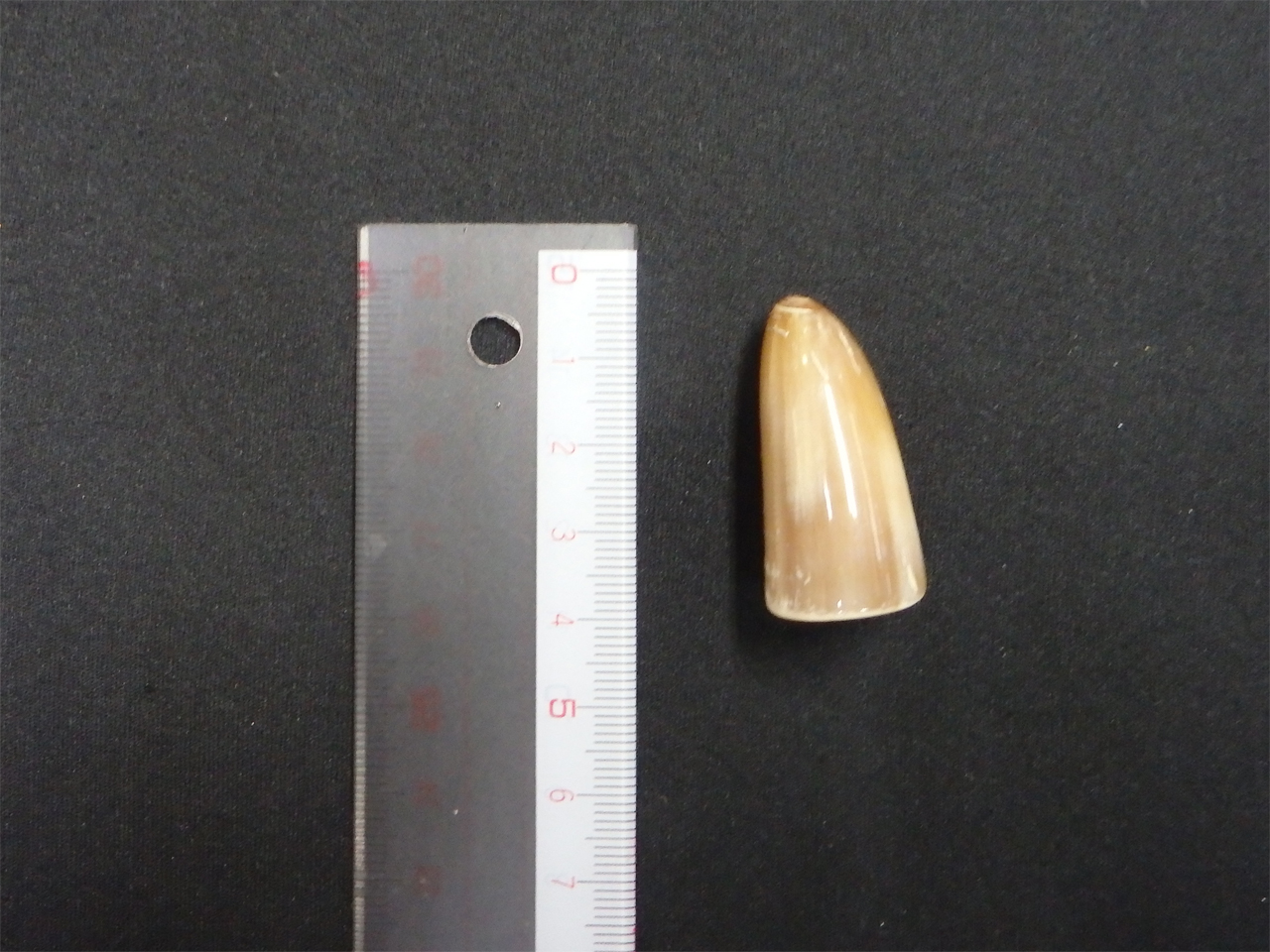 �I�����_����No.07